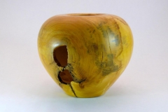 1.1 Hollow Form Maple 7"x6"